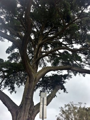 2014_03_01_15_01_48_2.jpg
