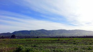 2014_03_07_09_08_26.jpg