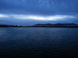 2014_03_08_18_31_37.jpg